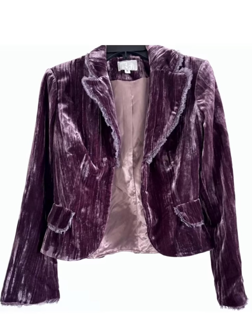 Alberto Makali Velvet Plum Blazer Jacket 6 Rayon Silk Y2K Renfair NWT Vintage